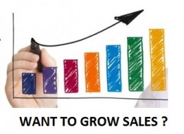 Grow Sales and Productivity